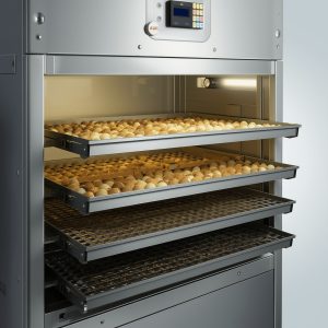 جوجه کشی بلدرچین داخل دستگاه جوجه کشی