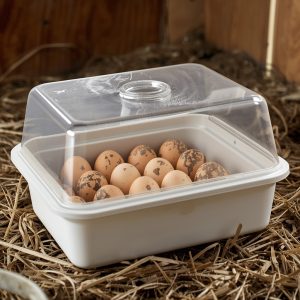 دستگاه جوجه کشی بوقلمون خانگی مناسب مبتدیها