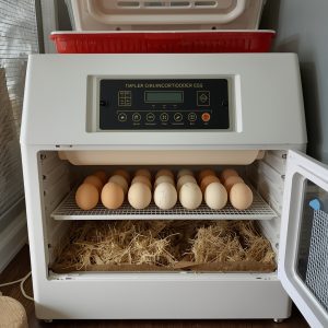 دستگاه جوجه کشی نیمه صنعتی بوقلمون با ظرفیت متوسط